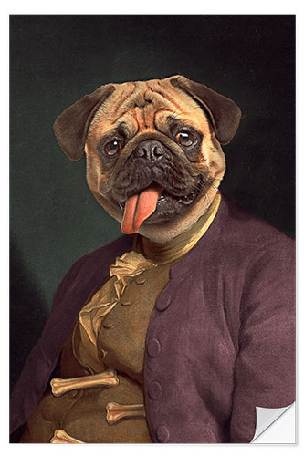 Selvklebende plakat Benjamin Pug