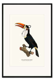 Gerahmter Kunstdruck Kopfhörer-Vogel