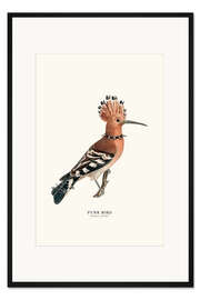 Gerahmter Kunstdruck Punk-Vogel