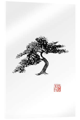 Acrylic print Bonsai Tree