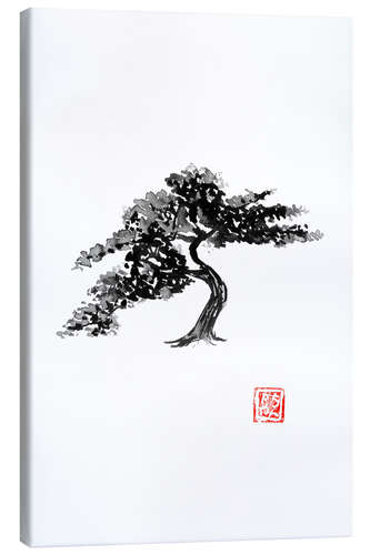 Canvas print Bonsai Tree