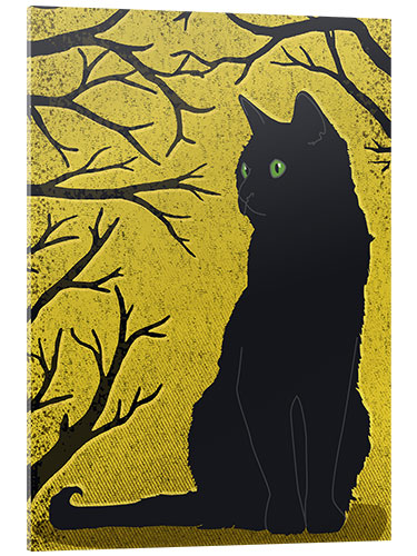 Acrylglas print Black Cat in Sunlight