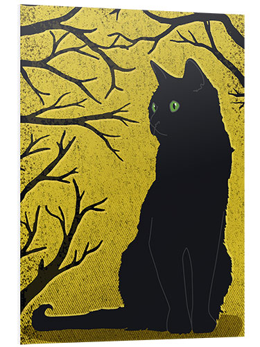 PVC print Black Cat in Sunlight