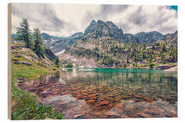 Tableau en bois French Alps