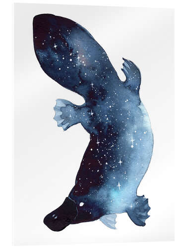 Acrylglasbild Galaxy Platypus