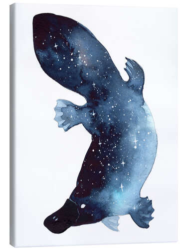 Canvas print Galaxy Platypus