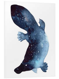 Stampa su PVC Galaxy Platypus