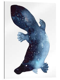 Gallery print Galaxy Platypus