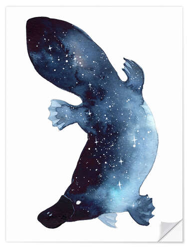 Sisustustarra Galaxy Platypus