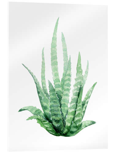 Acrylglasbild Aloe Vera