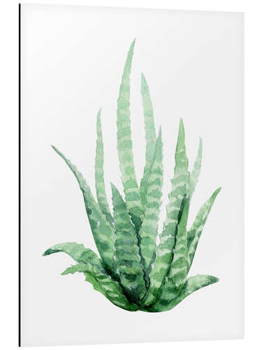 Aluminium print Aloe Vera