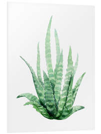 Foam board print Aloe Vera