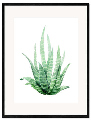 Gerahmter Kunstdruck Aloe Vera