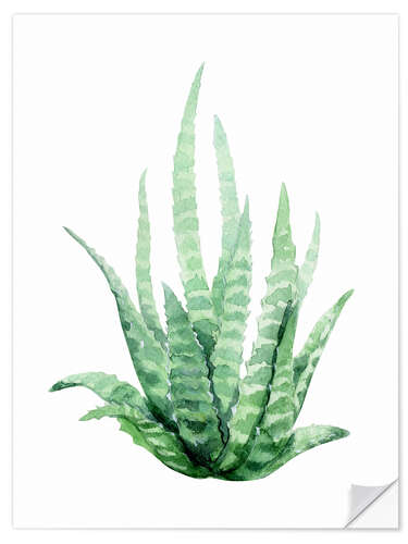 Selvklebende plakat Aloe Vera