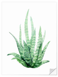 Selvklebende plakat Aloe Vera