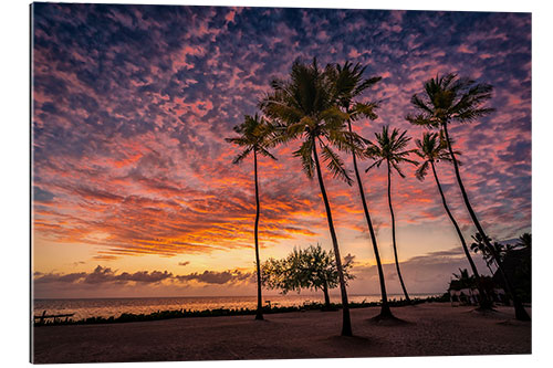 Gallery print Zanzibar - Sunrise in paradise