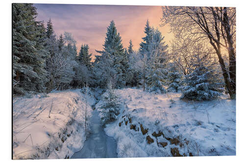 Aluminiumsbilde Altenberg winter landscape