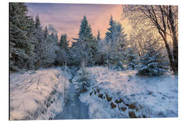 Tableau en aluminium Altenberg winter landscape