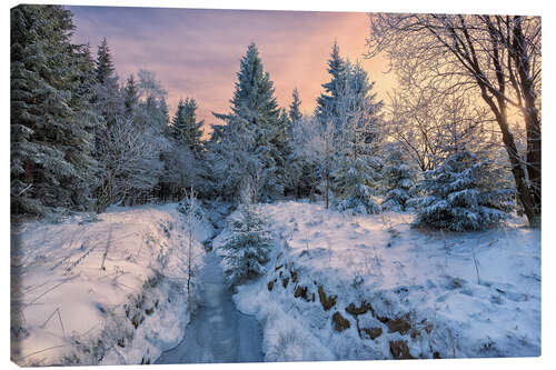 Canvastavla Altenberg winter landscape