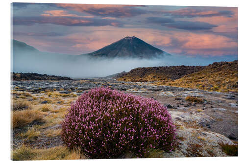 Cuadro de metacrilato Tongariro National Park - New Zealand