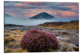 Print på aluminium Tongariro National Park - New Zealand
