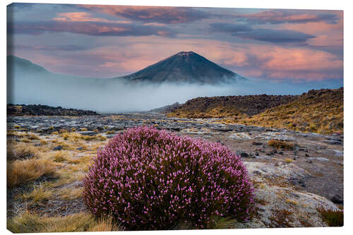 Quadro em tela Tongariro National Park - New Zealand