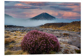 Obraz na PCV Tongariro National Park - New Zealand