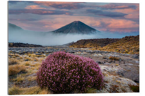Gallery print Tongariro National Park - New Zealand