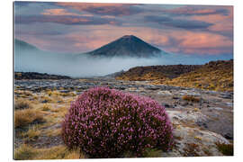 Gallery print Tongariro National Park - New Zealand