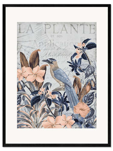 Impression artistique encadrée The plants of the tropics