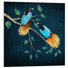 Akrylglastavla Bird of Paradise I