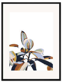 Gerahmter Kunstdruck Gummibaum