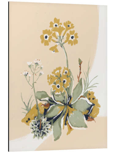 Tableau en aluminium Alpine flowers