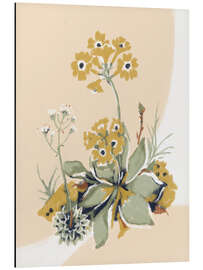 Aluminium print Alpine flowers