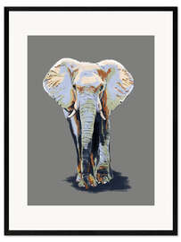 Ingelijste kunstdruk Elephant
