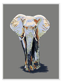 Wall print  Elephant - Studio Carper