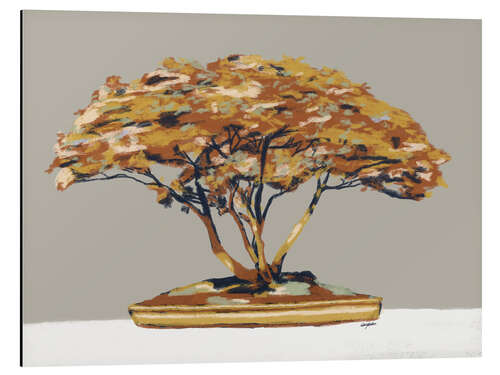 Cuadro de aluminio Bonsai tree