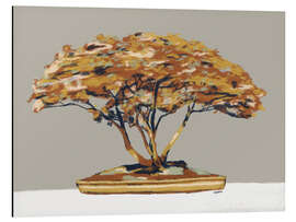 Cuadro de aluminio Bonsai tree - Studio Carper
