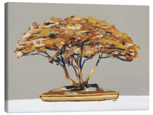 Stampa su tela Bonsai tree