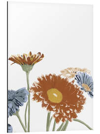 Aluminium print Daisies