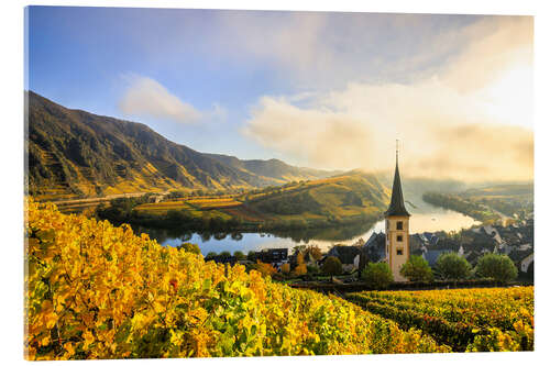 Acrylic print Moselle loop and Bremm with church tower in the morning