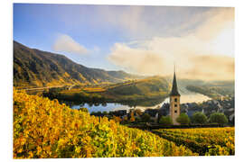 Tableau en PVC Moselle loop and Bremm with church tower in the morning