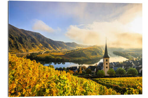 Gallery print Moselle loop and Bremm with church tower in the morning