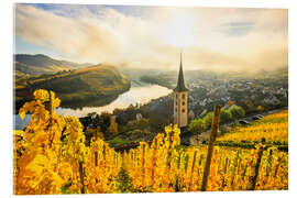 Stampa su vetro acrilico Autumnal yellow vineyards from Bremm