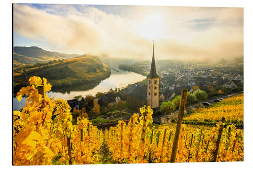 Tableau en aluminium Autumnal yellow vineyards from Bremm