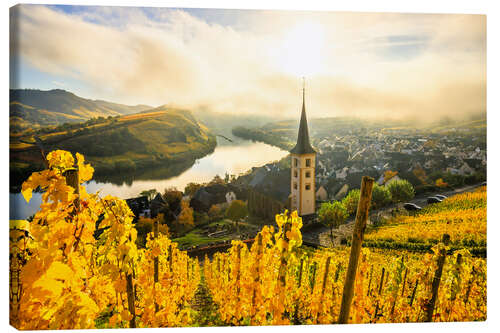 Lærredsbillede Autumnal yellow vineyards from Bremm