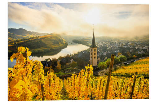 Foam board print Autumnal yellow vineyards from Bremm