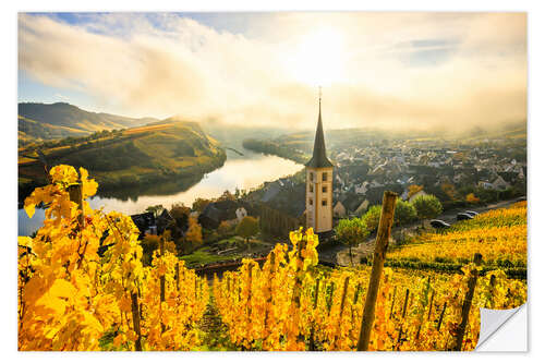 Vinilo para la pared Autumnal yellow vineyards from Bremm