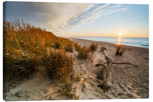 Lerretsbilde Sunset at Darss West Beach