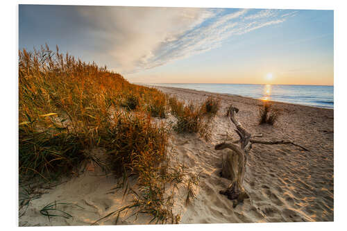 Tableau en PVC Sunset at Darss West Beach